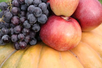 Photo of Ripe pumpkin, grapes and apples as background, closeup Autumn harvest