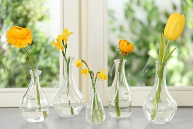 Photo of Beautiful fresh spring flowers on window sill indoors