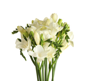 Photo of Beautiful blooming freesia flowers isolated on white