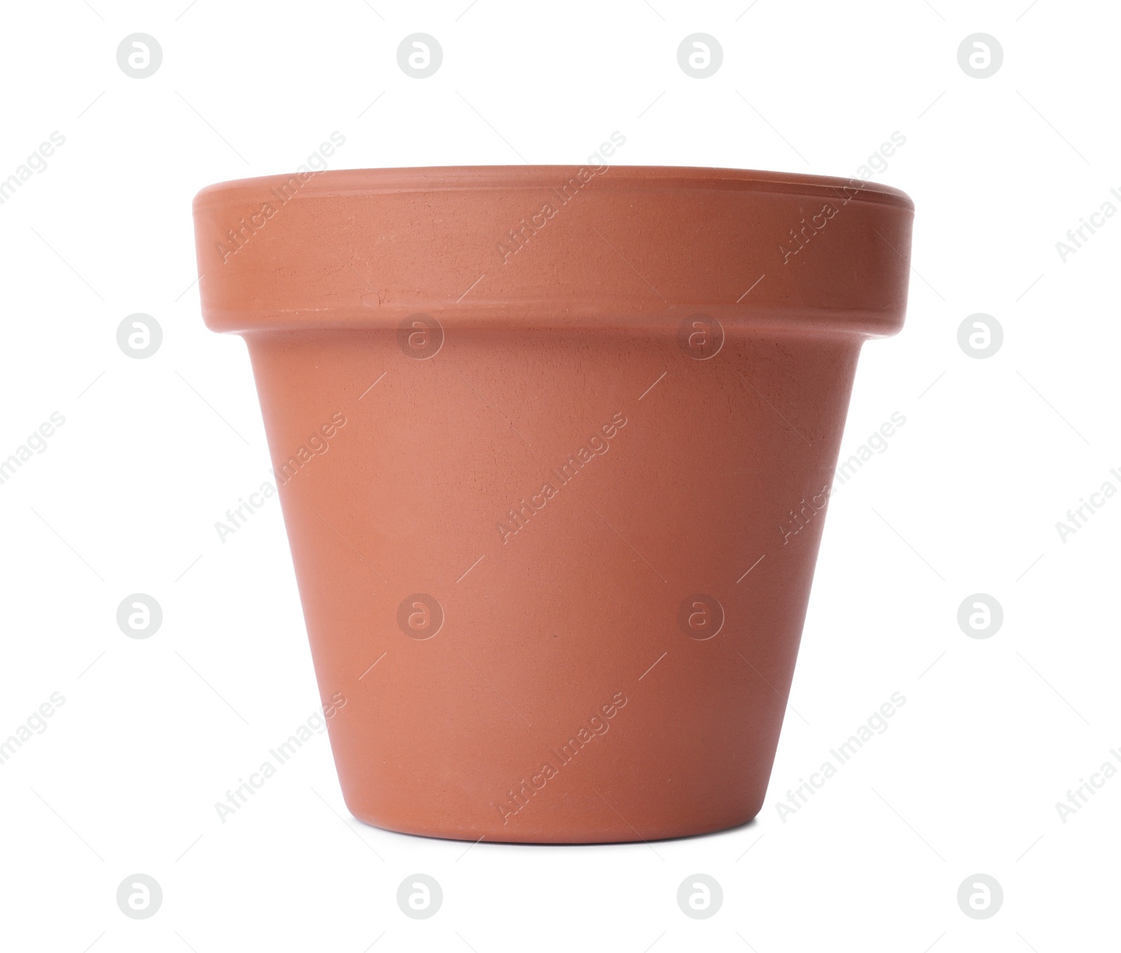 Photo of Stylish terracotta flower pot isolated on white