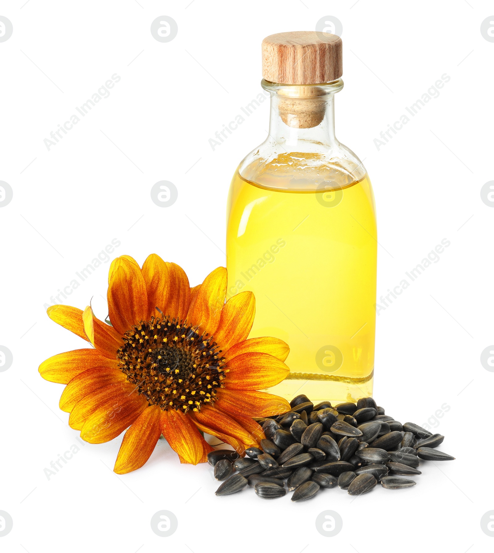 Photo of Sunflower, bottle of oil and seeds on white background