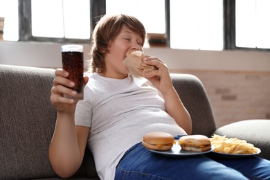 Overweight boy with fast food on sofa at home