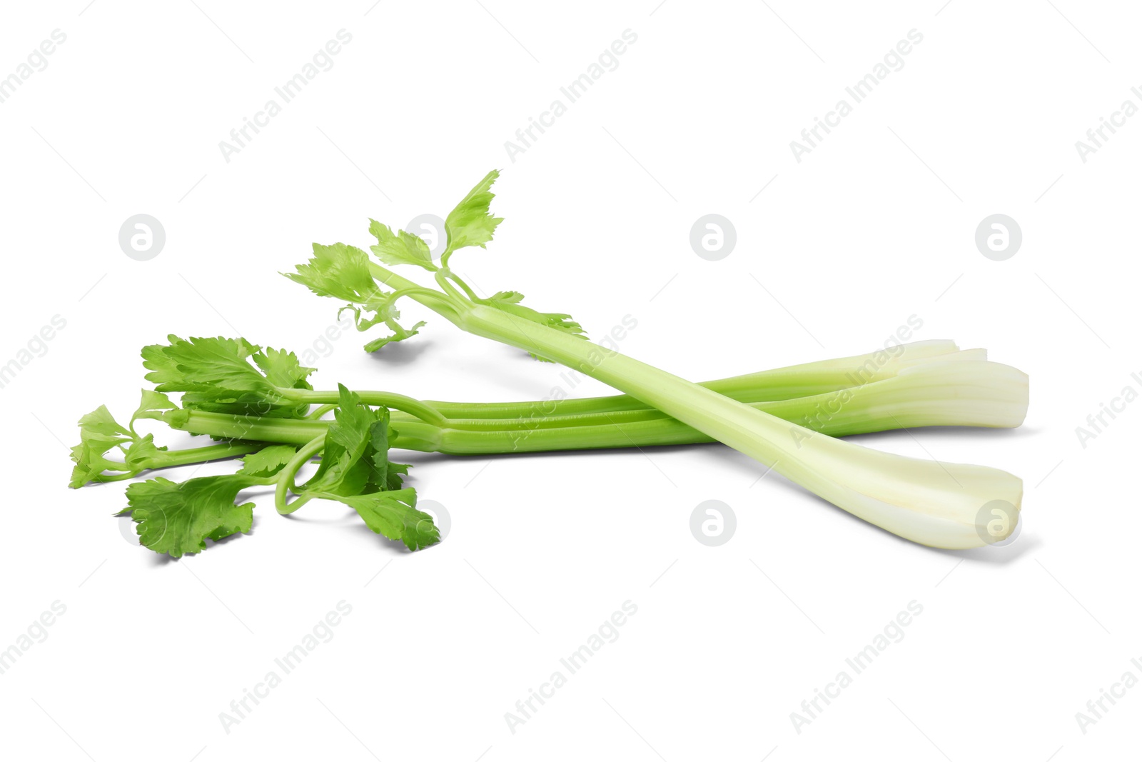 Photo of Fresh green celery stems isolated on white