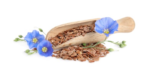 Wooden scoop with flax flowers and seeds on white background