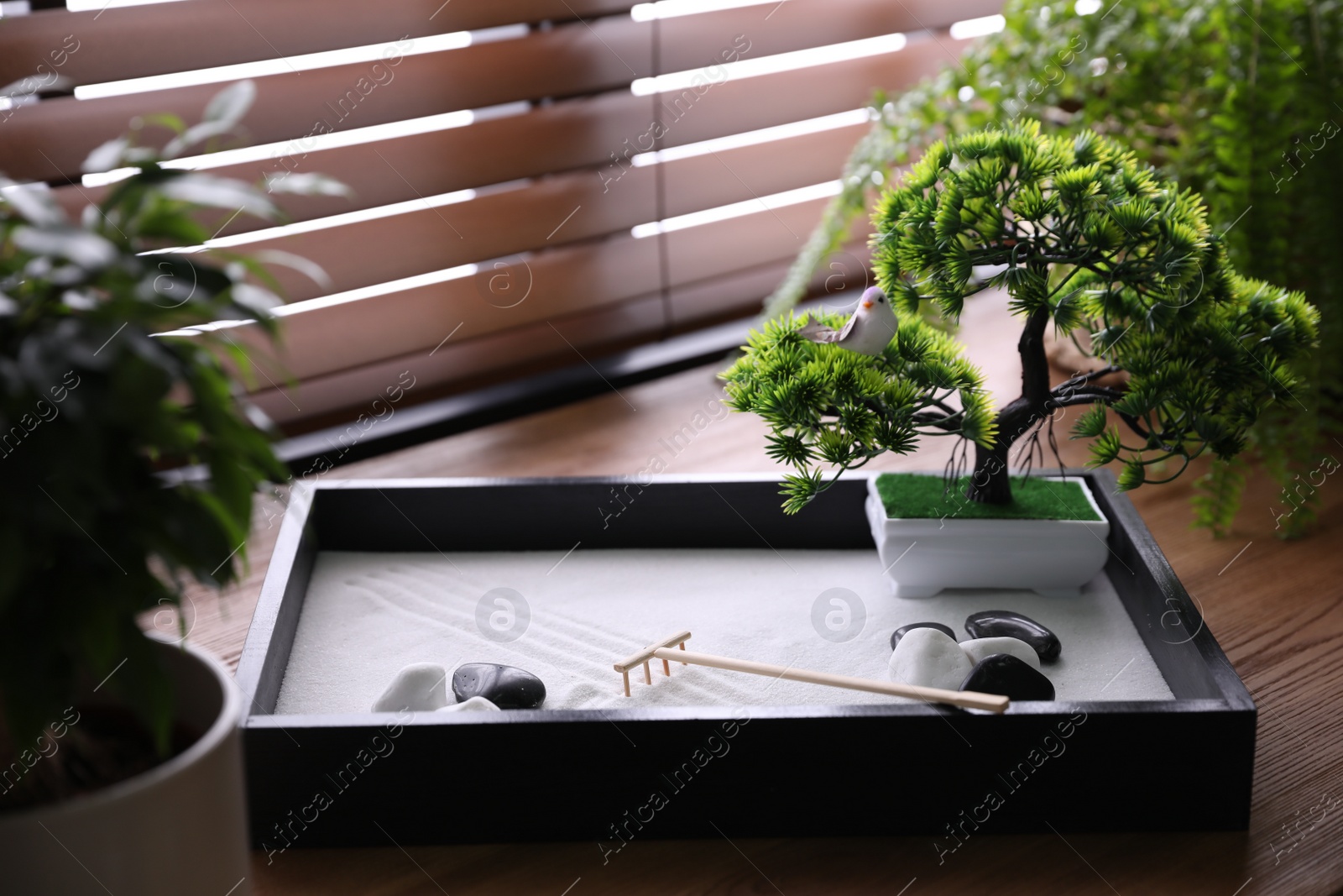 Photo of Beautiful miniature zen garden on wooden table