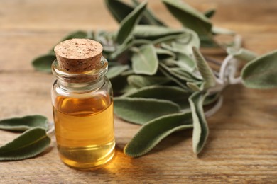 Bottle of essential oil and fresh sage leaves on wooden table, closeup