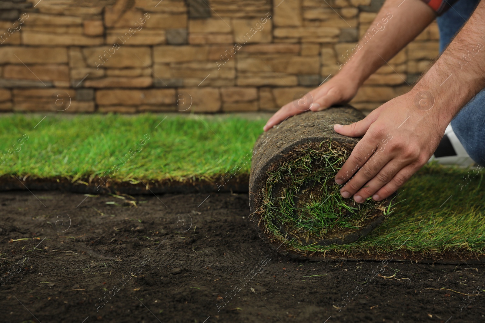 Photo of Young man laying grass sod on ground at backyard, closeup. Space for text