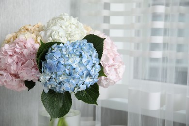 Photo of Beautiful hydrangea flowers in vase indoors, closeup
