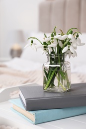 Photo of Beautiful snowdrops and books on tray in bedroom