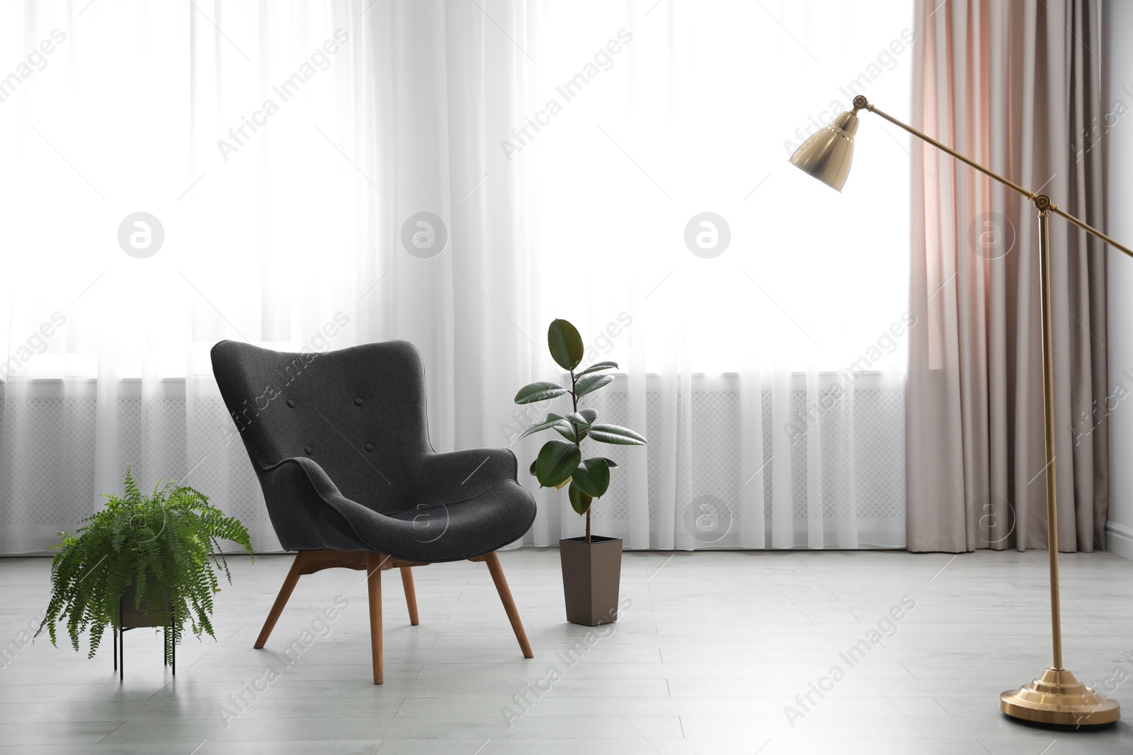 Photo of Green plants and armchair near window. Home design ideas