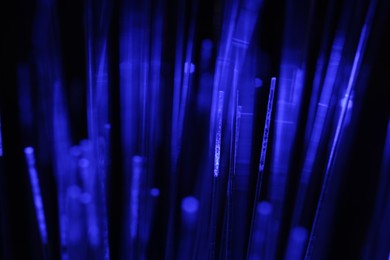 Photo of Optical fiber strands transmitting blue light on black background, macro view