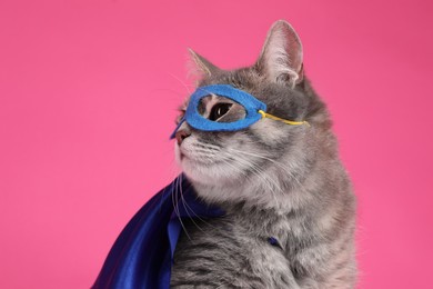 Photo of Adorable cat in blue superhero cape and mask on pink background