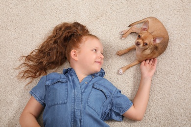 Photo of Cute little child with her Chihuahua dog on floor at home, top view. Adorable pet