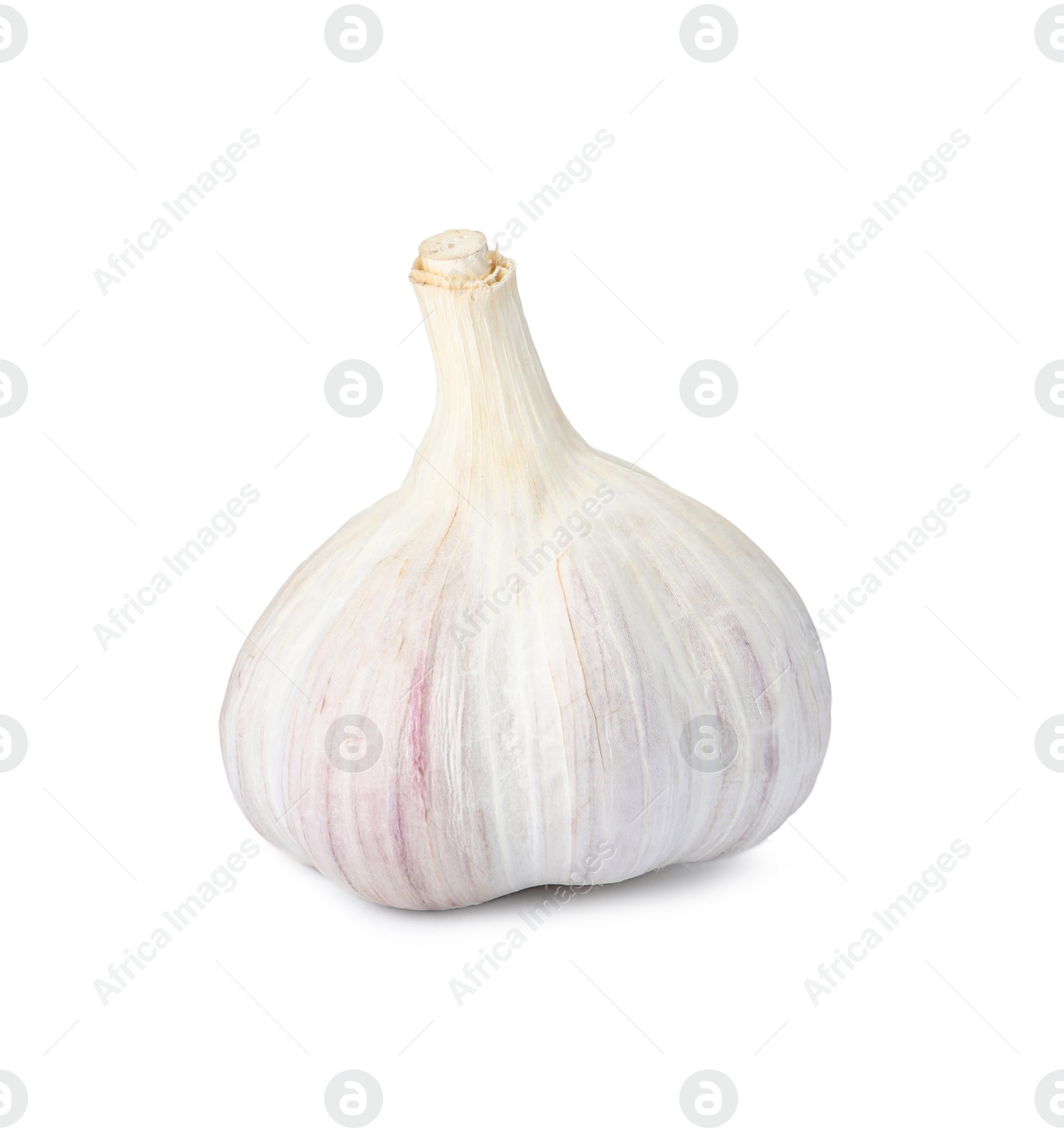 Photo of Fresh organic garlic bulb on white background