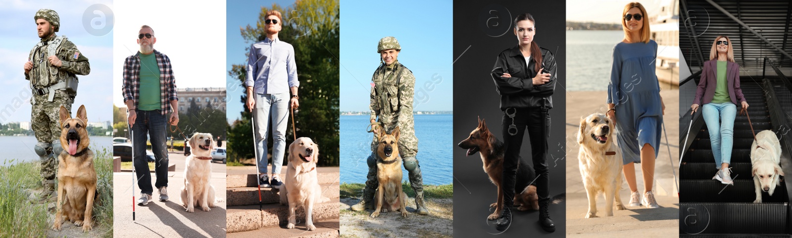 Image of Collage with photos of people with service dogs, banner design