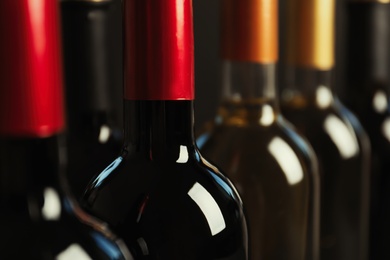 Photo of Bottles with delicious wine, closeup. Professional sommelier