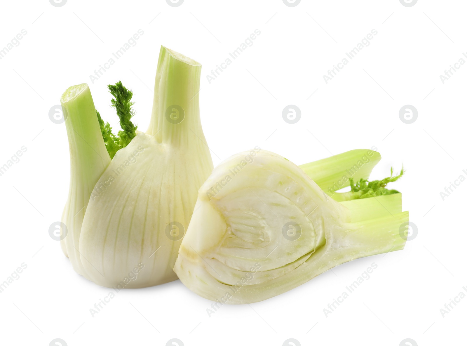 Photo of Whole and cut fennel bulbs isolated on white