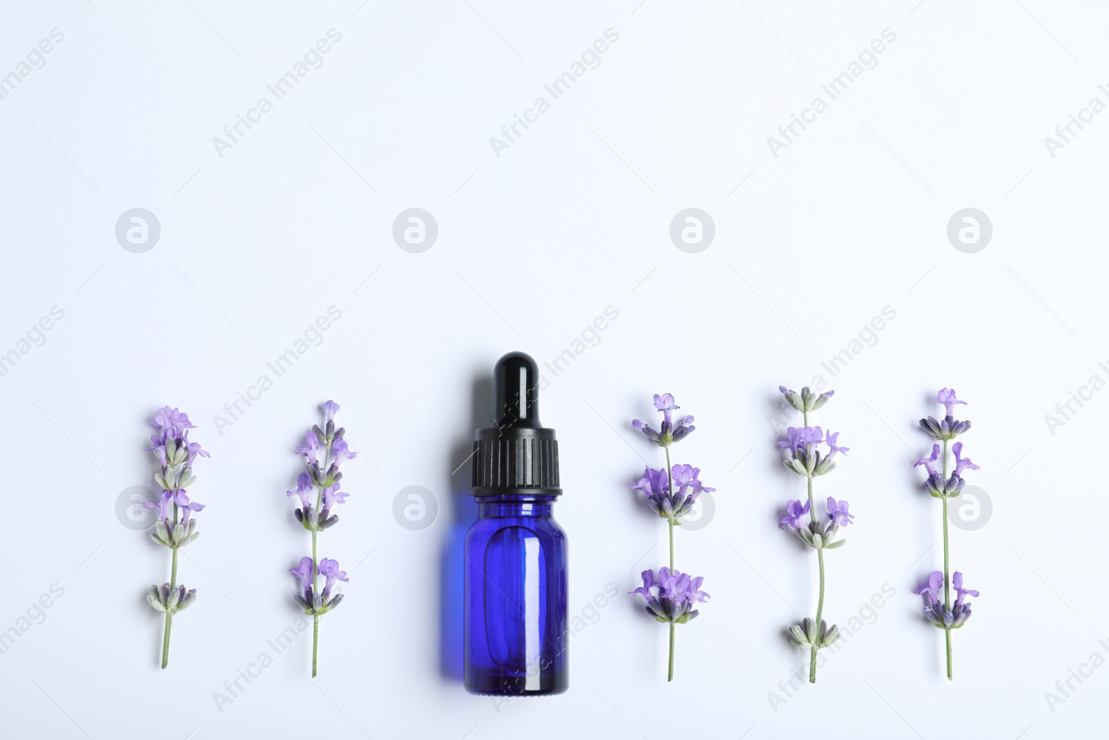 Photo of Bottle of essential oil and lavender flowers on white background, flat lay