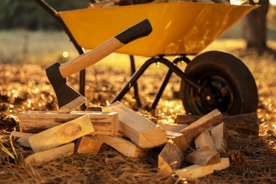 Photo of Cut firewood and axe near wheelbarrow in forest, closeup