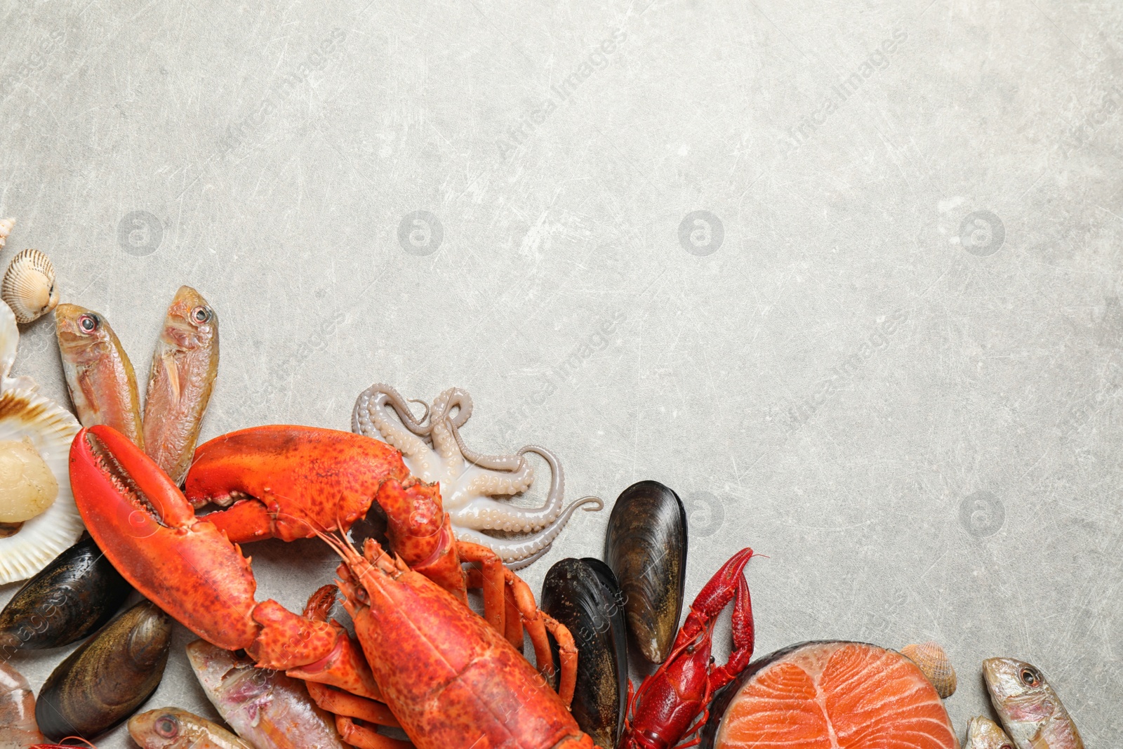 Photo of Fresh fish and different seafood on light grey table, flat lay. Space for text