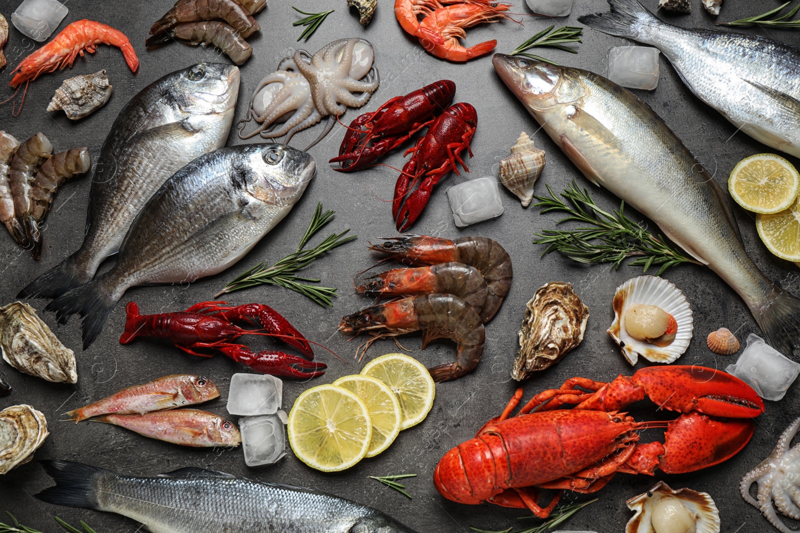 Photo of Fresh fish and seafood on grey table, flat lay