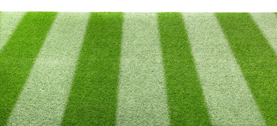 Green grass with markings on white background