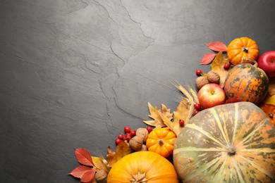 Flat lay composition with ripe pumpkins and autumn leaves on grey table, space for text. Happy Thanksgiving day