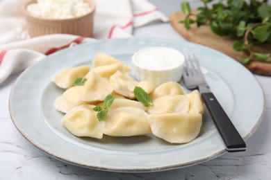 Photo of Delicious dumplings (varenyky) with cottage cheese, mint and sour cream served on table, closeup