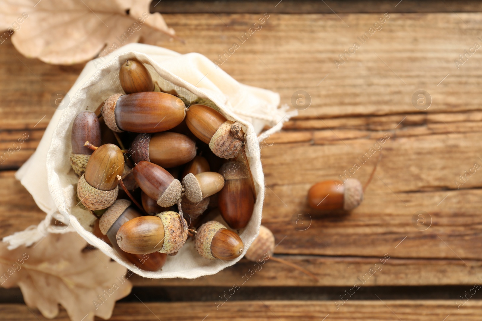 Photo of Acorns in cotton bag on wooden table, top view. Space for text