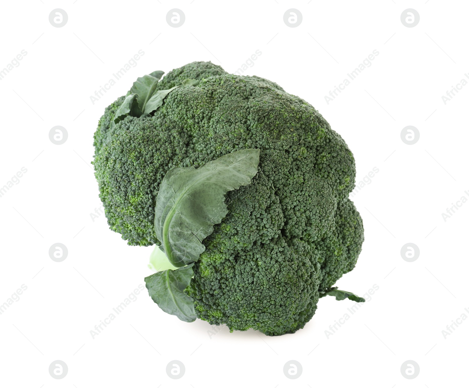 Photo of Fresh green broccoli isolated on white. Organic food