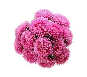 Photo of Bouquet of pink asters isolated on white, top view. Autumn flowers
