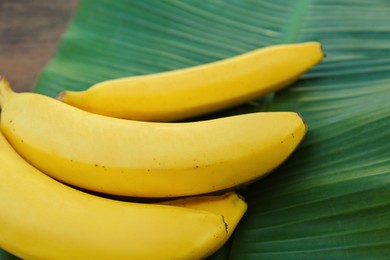 Photo of Delicious bananas and green leaf on wooden table, closeup