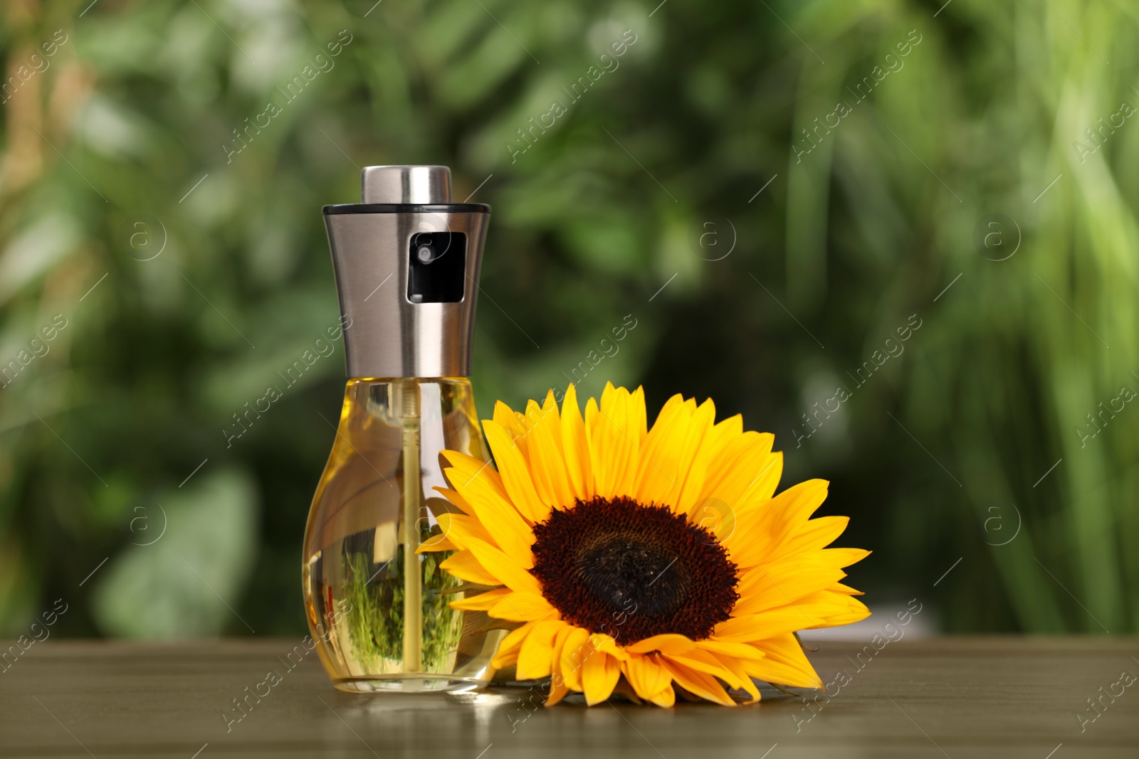 Photo of Sunflower and spray bottle with cooking oil on wooden table against blurred green background