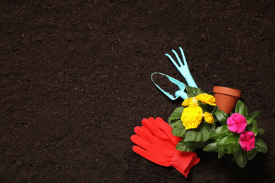 Flat lay composition with gardening tools and flowers on soil, space for text