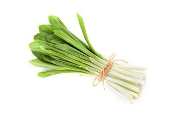 Photo of Bunch of wild garlic or ramson isolated on white
