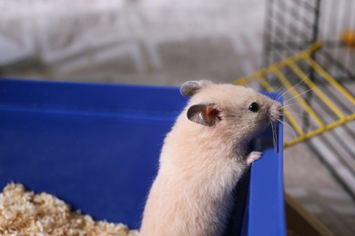 Photo of Cute little fluffy hamster playing in cage