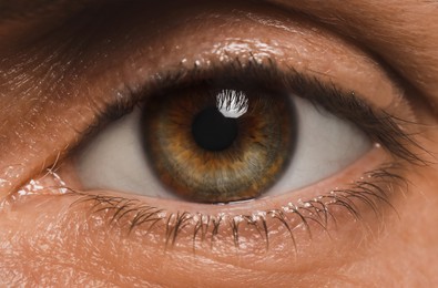 Image of Closeup view of man with beautiful eye