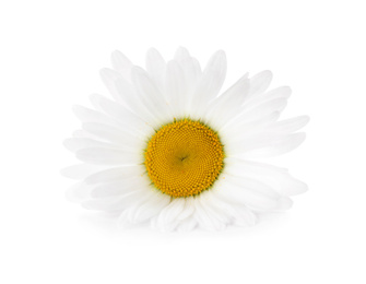 Photo of Beautiful fragrant chamomile flower isolated on white