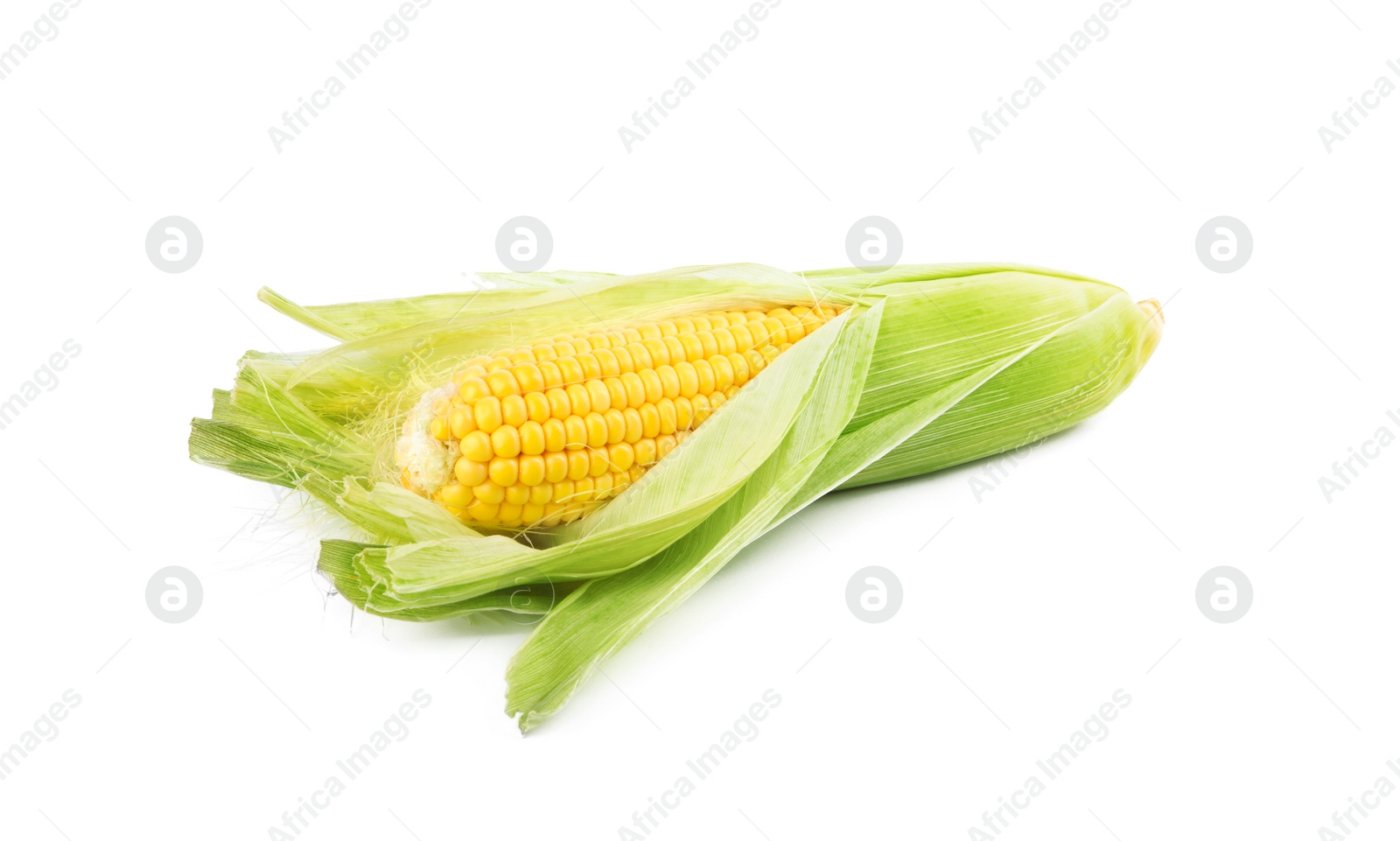 Photo of Ripe raw corn cob with husk isolated on white