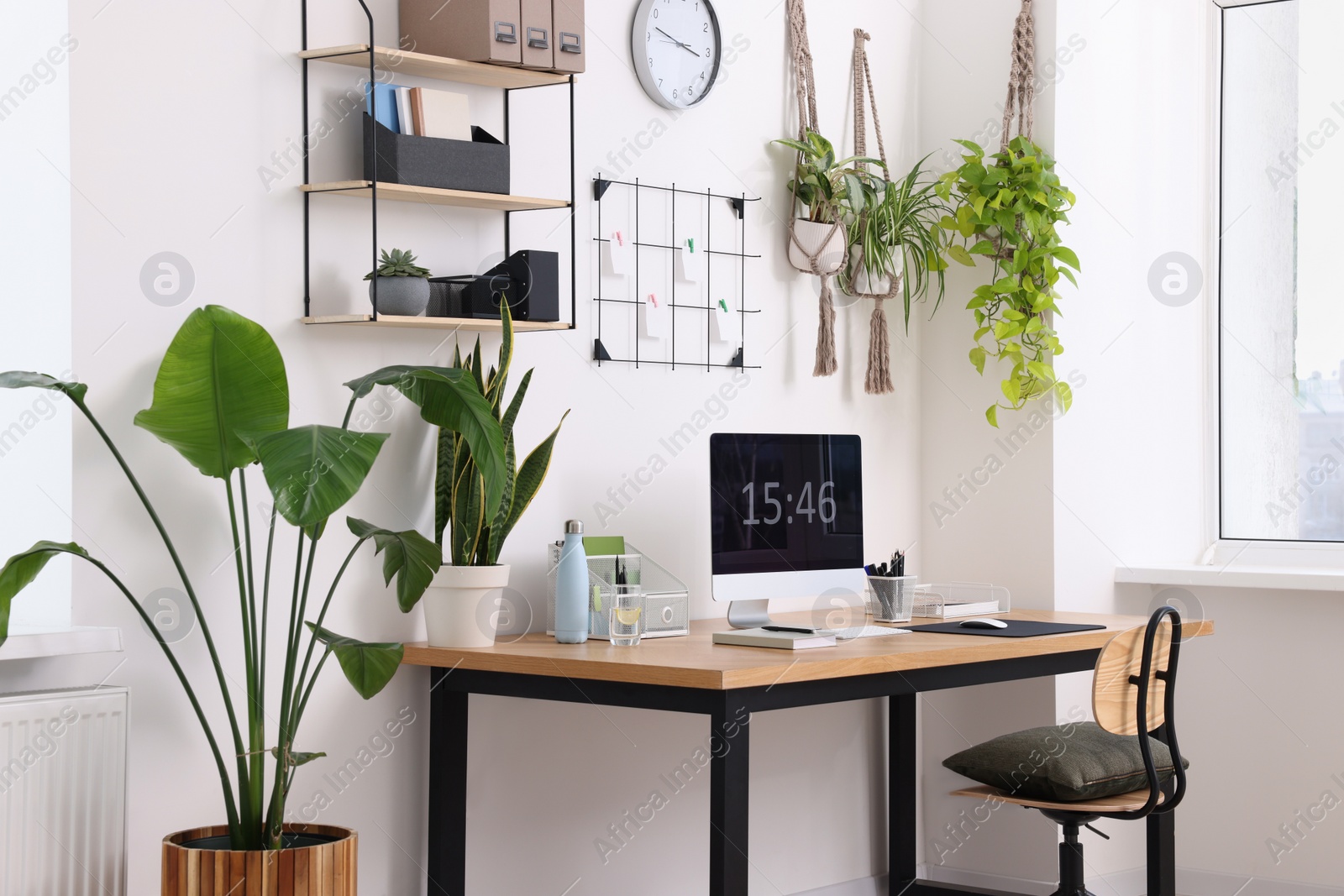 Photo of Cozy workplace with computer, modern furniture and houseplants at home