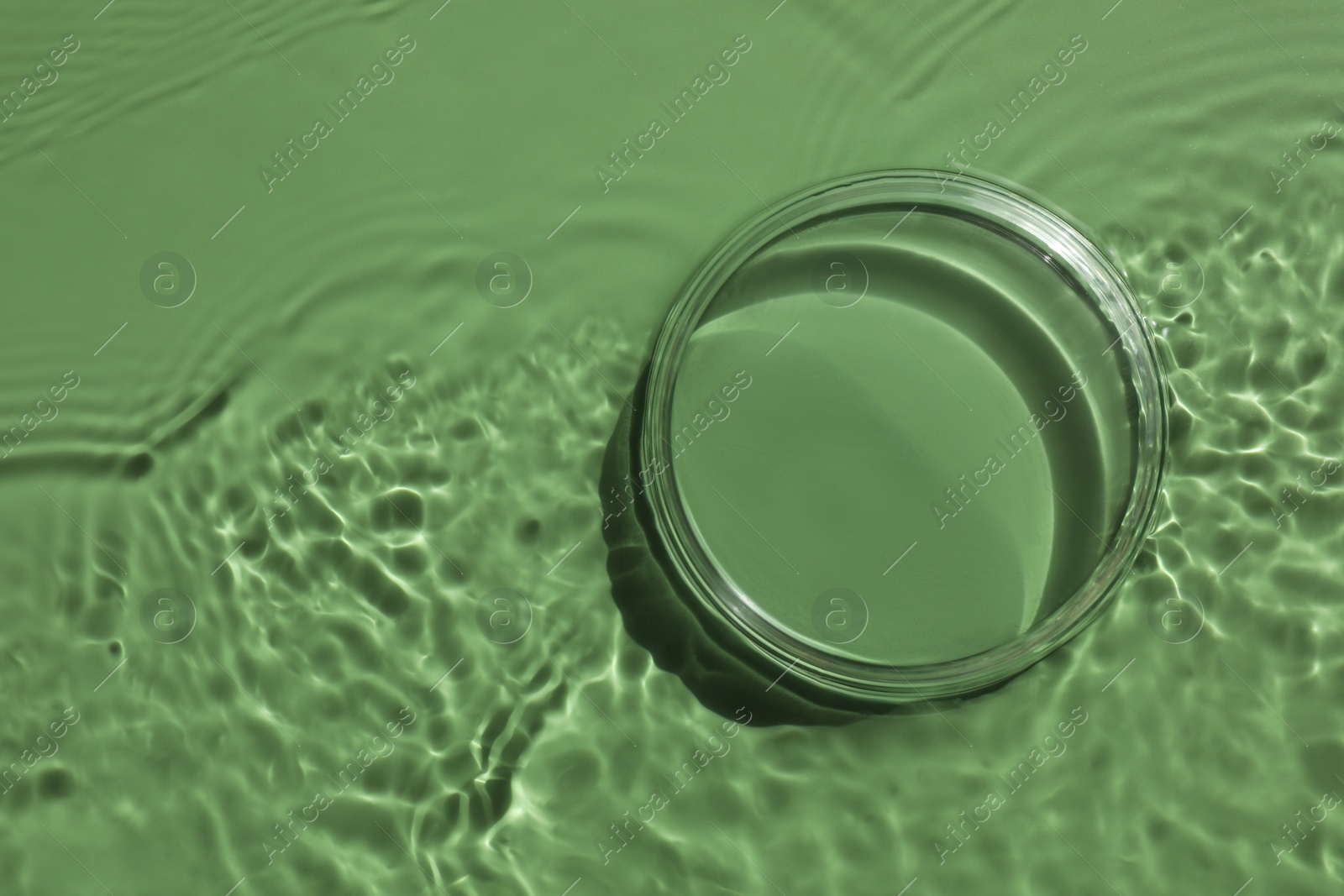 Photo of Stylish presentation for product. Glass podium in water on pale green background, top view. Space for text