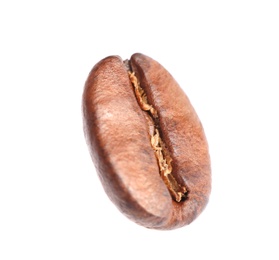 Single roasted coffee bean on white background