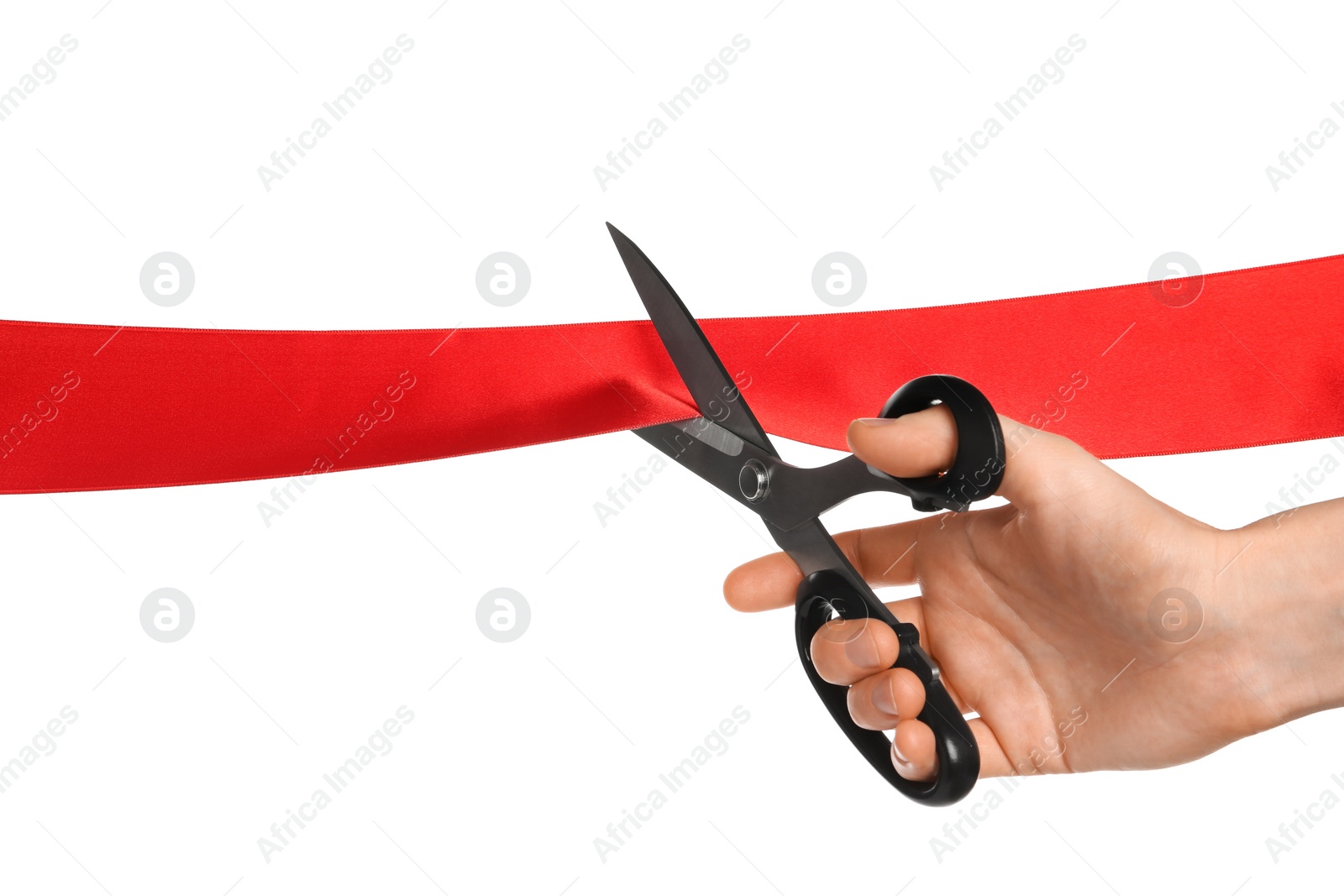 Photo of Man cutting red ribbon on white background, closeup