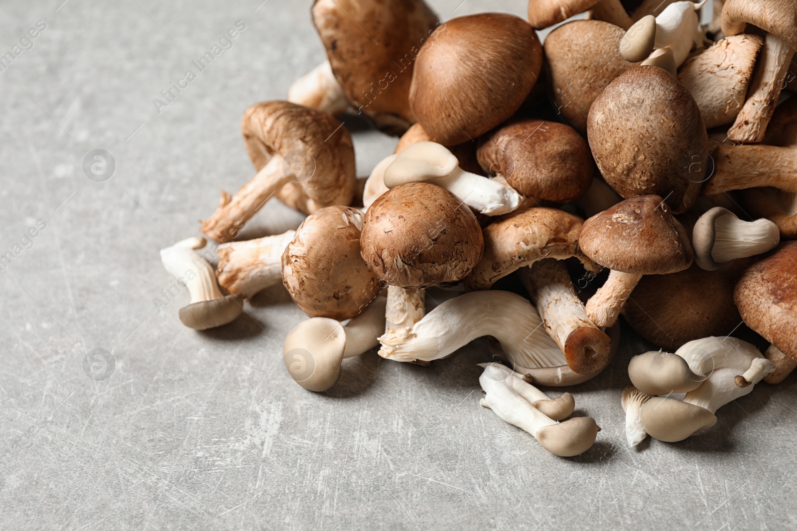 Photo of Heap of fresh wild mushrooms on light grey table