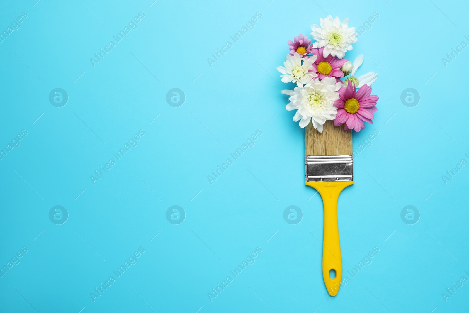 Photo of Brush painting with chrysanthemum flowers on light blue background, top view. Space for text. Creative concept