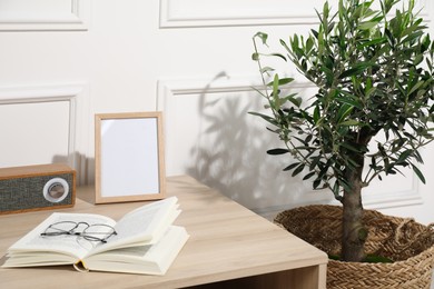 Beautiful young potted olive tree near table in living room. Interior element