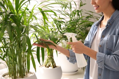 Photo of Woman spraying leaves of house plants indoors, closeup