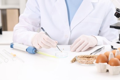 Quality control. Food inspector examining wheat grain in laboratory, closeup