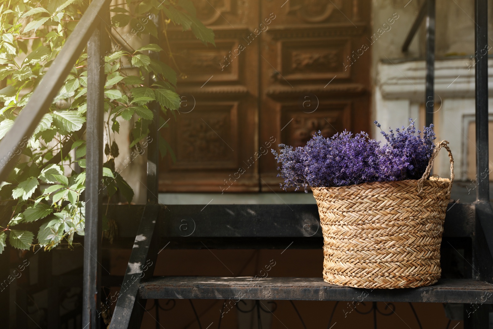Photo of Wicker basket with beautiful lavender flowers on metal stairs near building