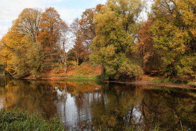 Beautiful park with yellowed trees and lake